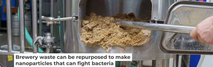 Some compounds in waste produced in the brewing process could be repurposed for antibacterial drugs. Iuri Gagarin/iStock via Getty Images